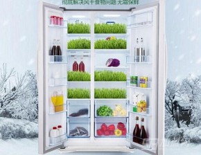 容声冰箱是哪里生产的？
