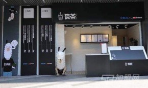 新投资分析：开家丧茶加盟店前景如何？
