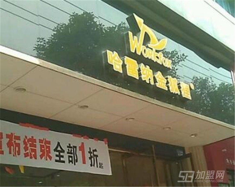 哈雷纳金狐狸