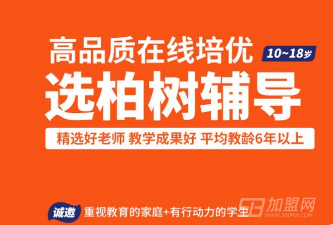 柏树辅导