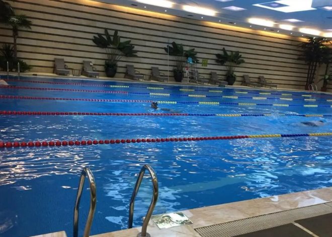 奥尔维斯国际游泳培训