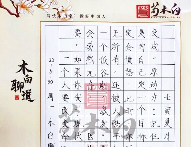 荀木白书法练字