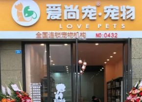 开一家爱尚宠宠物店需要具备什么条件？