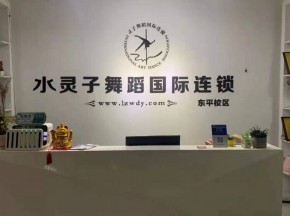 水灵子舞蹈培训加盟店：市场经营策略探讨！