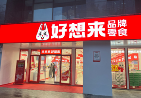 好想来品牌零食：效率裂变与下沉市场消费生态重构