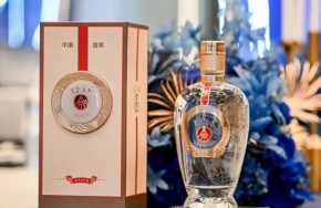 被这一杯千年佳酿惊艳了！五粮液的世博“和美”之旅