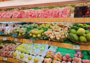 喃唔果果水果店加盟條件有哪些？
