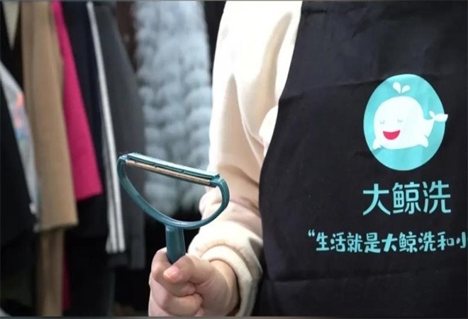 大鲸洗干洗