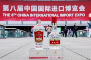 八載同行丨五糧液×進博會譜寫和美新篇