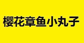 安徽樱花章鱼小丸子